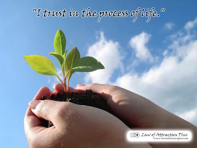 "I trust in the process of life." (Wallpaper + Decree) Free Law of Attraction Wallpaper with Decree and Positive Affirmation